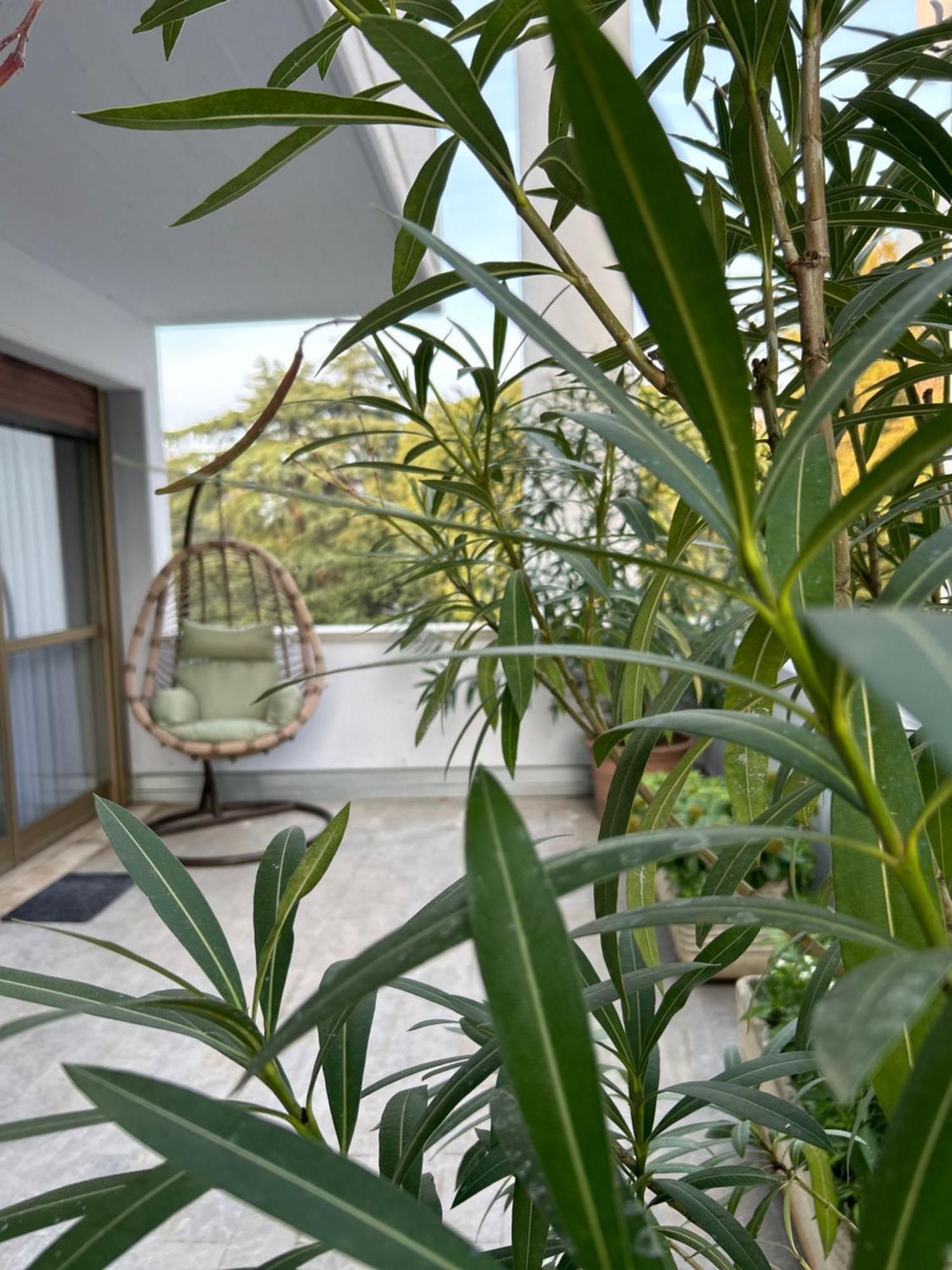 Room& Breakfast Martin'S Luxury Bolonia Exterior foto